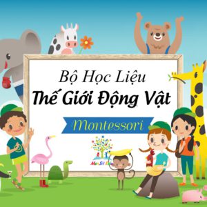 Bộ Động Vật Học – Matching Book F14